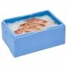 Cutii Termoizolante EPP Fara Insert, 40/55 L Dimensiune Interioara 540 x 340 x 220 mm, Capacitate 40 kg, Dimensiune Exterioar...