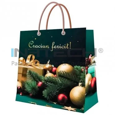 Personalized Gift Bags, Glossy Finish, 190 g/m² Glossy Lamination, Dimensions mm (L × W × H) 235 x 240 x 100, Cord Handle, Weight 190 g/m²