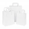 Pungi Hartie Cu Maner Rasucit, Dimensiuni 240 x 110 x 260 mm, Tip Maner Sfoara, Material Hartie 90 gr/m2, Culoare Alb, Buc / ...