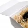 Cutie Pentru Cadouri Cu Inchidere Magnetica 350 x 250 x 100 mm, Tip Carton Mucava-Cutii Pentru Cadouri