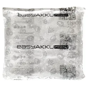 Rezerve De Racire Easy Akku Fresh Dimensiuni 155 X 175 X 25 mm, Greutate 500 gr-Rezerve De Racire Din Plastic