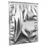 Punga Termoizolanta Cu Fermoar Isothermal Pouch Dimensiuni 200 X 250 mm, Clapeta 70 mm, Culoare Argintiu, Tip Doar Zip-Pungi ...