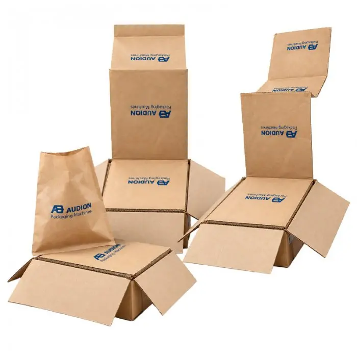 Pungi din Hartie, Predeschise, Audion Paper SpeedBags®, Pentru pentru Masina Speedpack Tabletop 300 Dual-Accesorii Masini Pen...