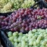 Ladite Din Plastic Pentru Fructe Si Legume-Lazi Pentru Transport