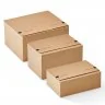 Cutie Din Carton Cu Folie De Retentie ColomPac®, 230 x 160 x 80 mm-Cutii Carton Cu Folie De Retentie