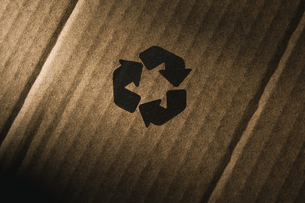 logo carton reciclat
