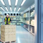 Cum sa expediezi alimente congelate? Metode si sfaturi utile